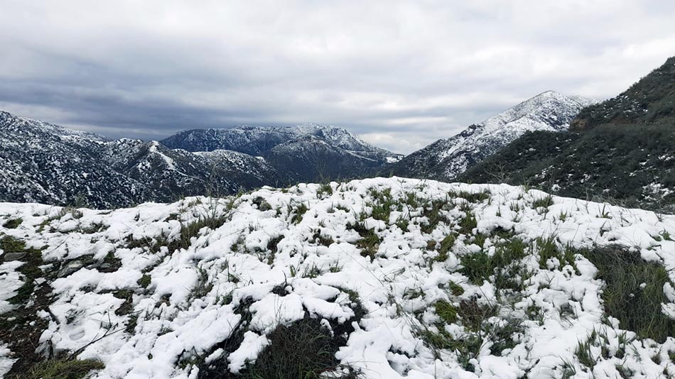  Angeles Forest
