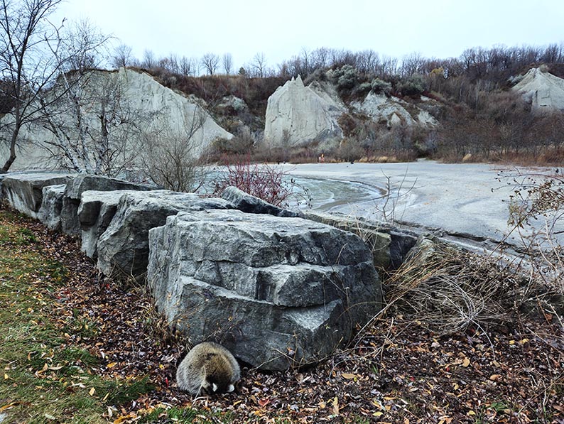  Bluffs