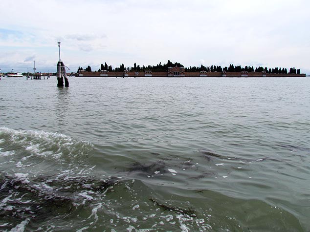   San Michele. Venezia