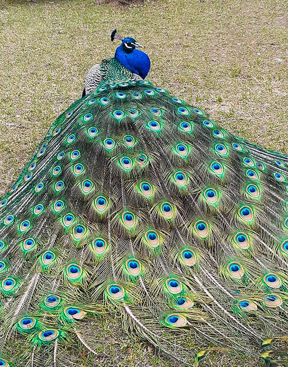   - !