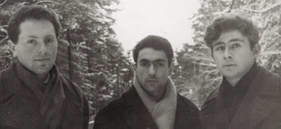  25  -  