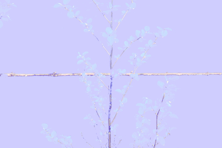  . . 