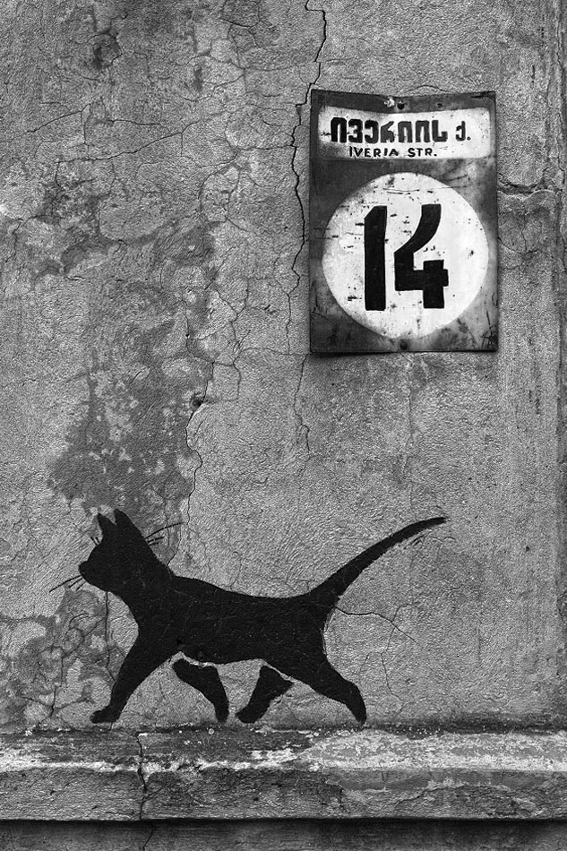  14