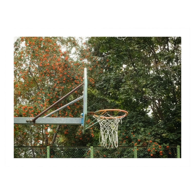  1293