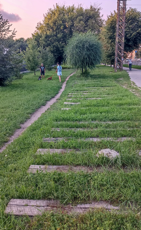  2+2