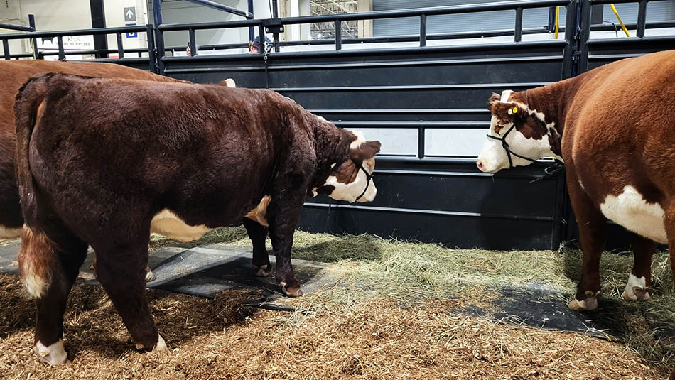  How are you doing today?