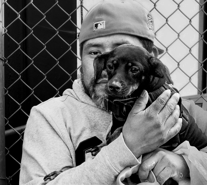 ���������� ����� � �����