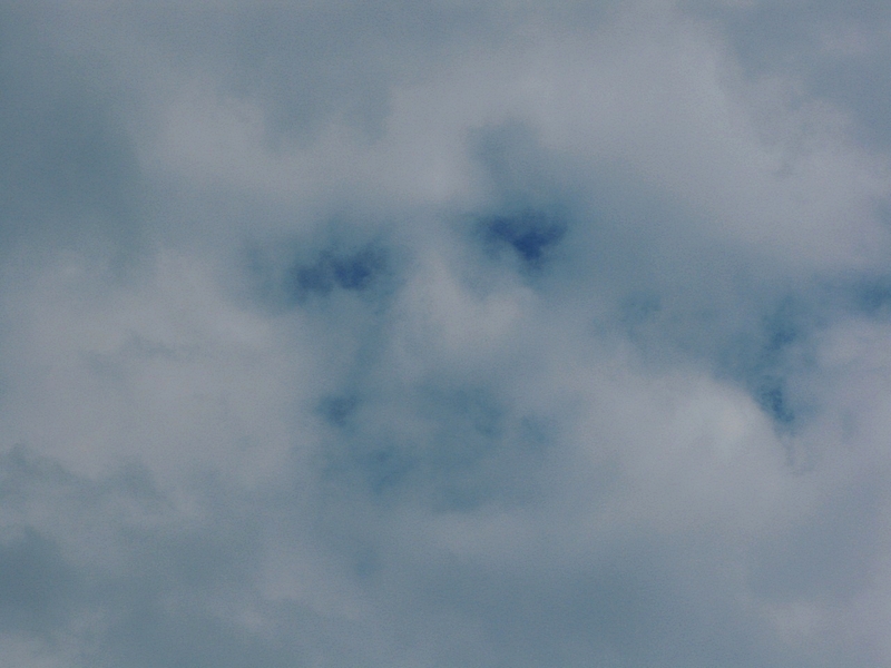 ���������� .