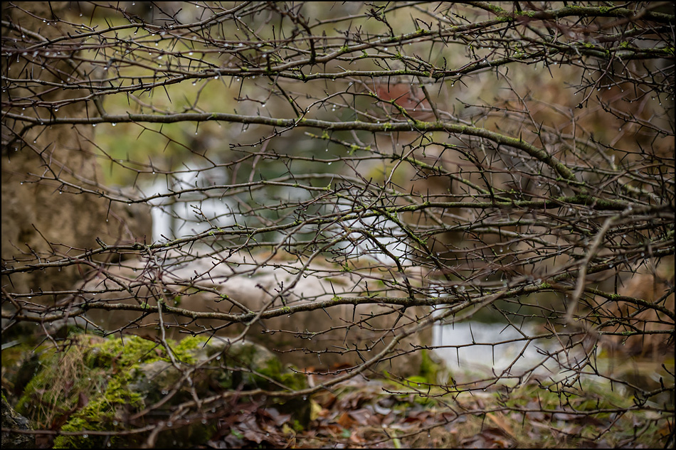 ���������� ������� ���ţ�