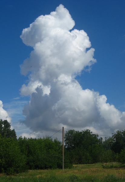 ���������� .