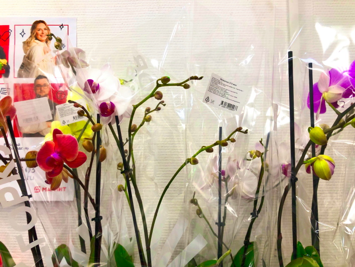 ���������� ����������