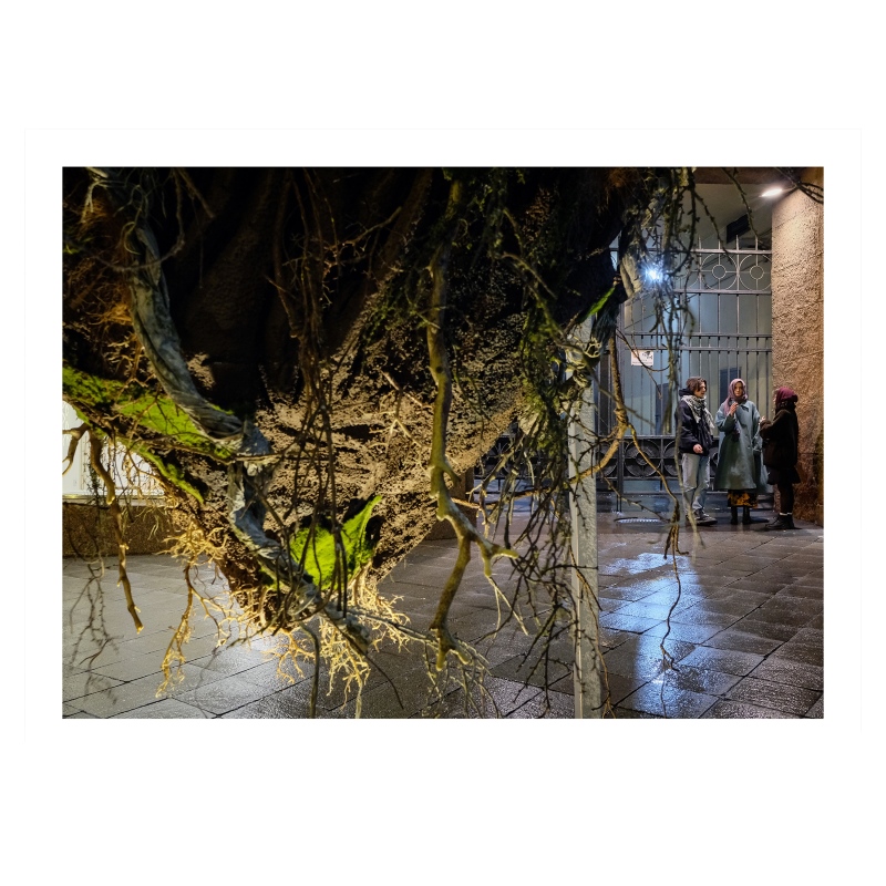 ���������� 1538