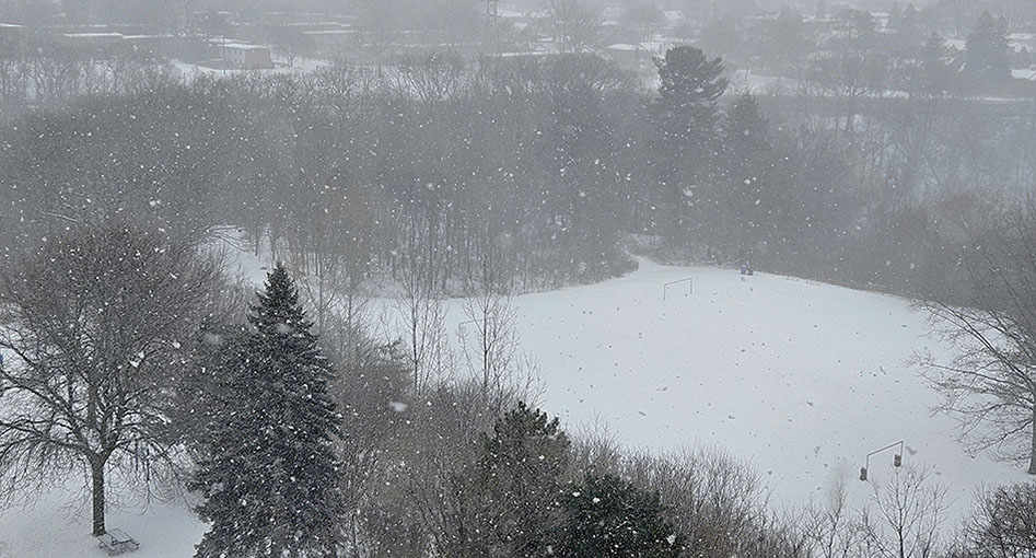 ���������� ���� ������ ������ �� �����