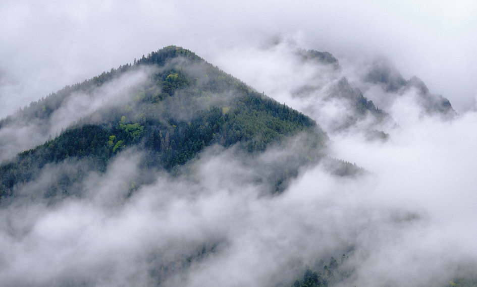 ���������� ���� "�������"