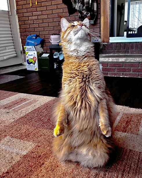 ���������� ��������! ������! �������� ������!