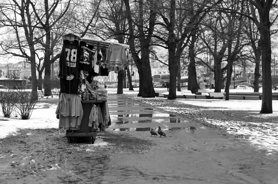 ���������� 8137