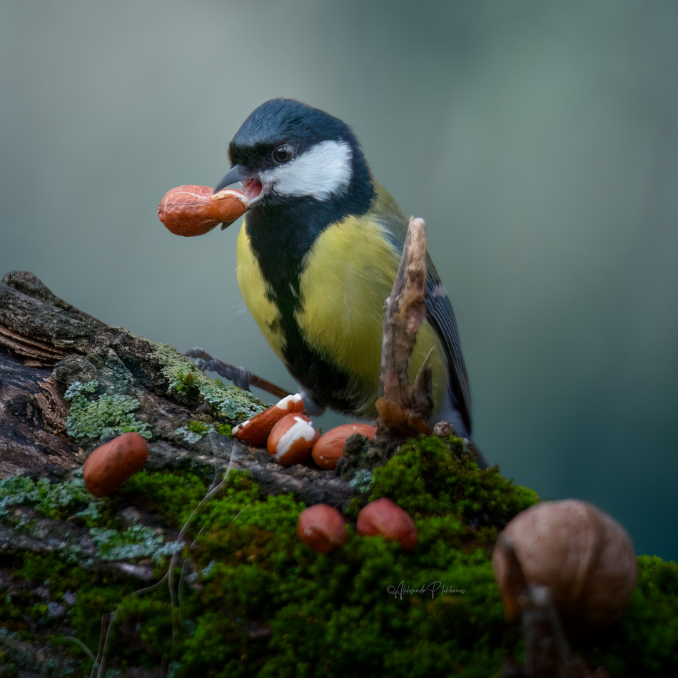 ���������� ������� � ������ ��ۣ� ...