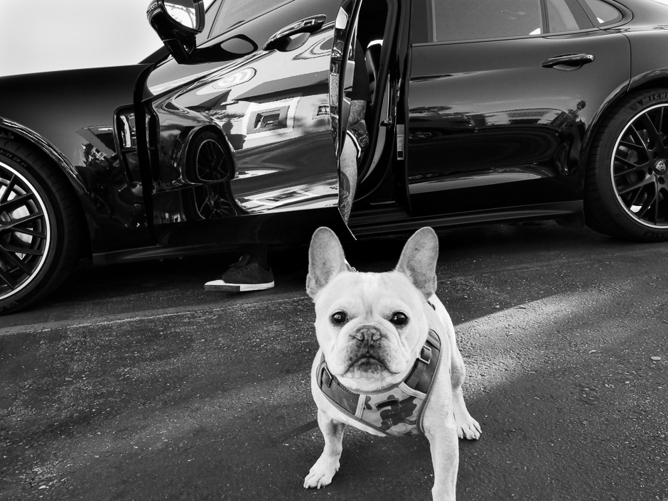 ���������� ��������� �����