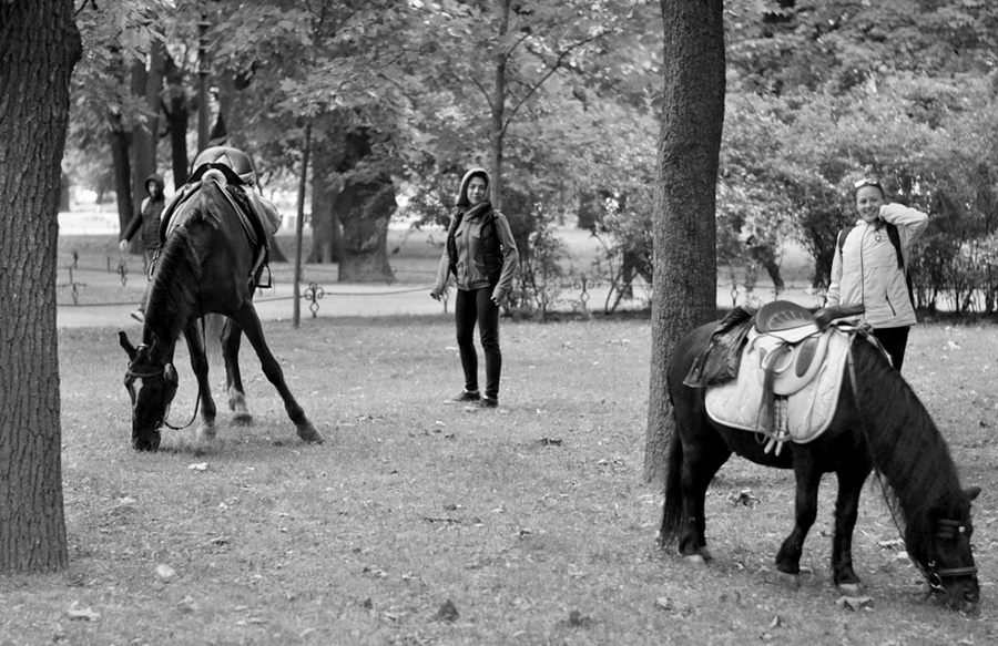 ���������� �������� ������