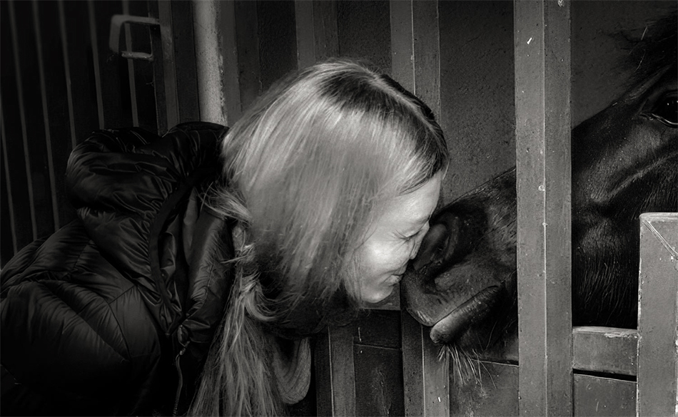 ���������� ������...