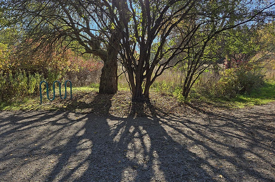 ���������� ���� � ����, �������