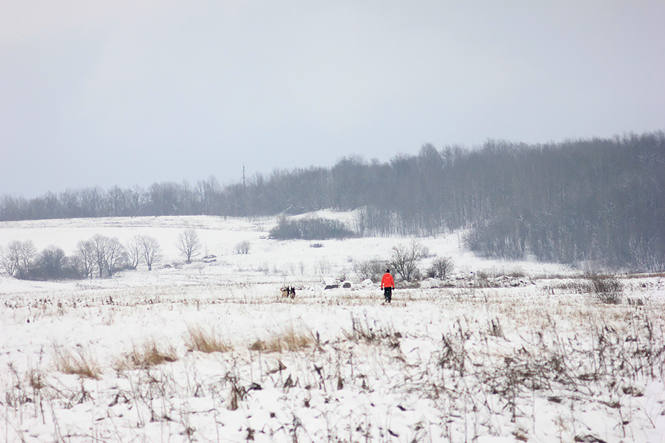 ����������  �� ������� �����