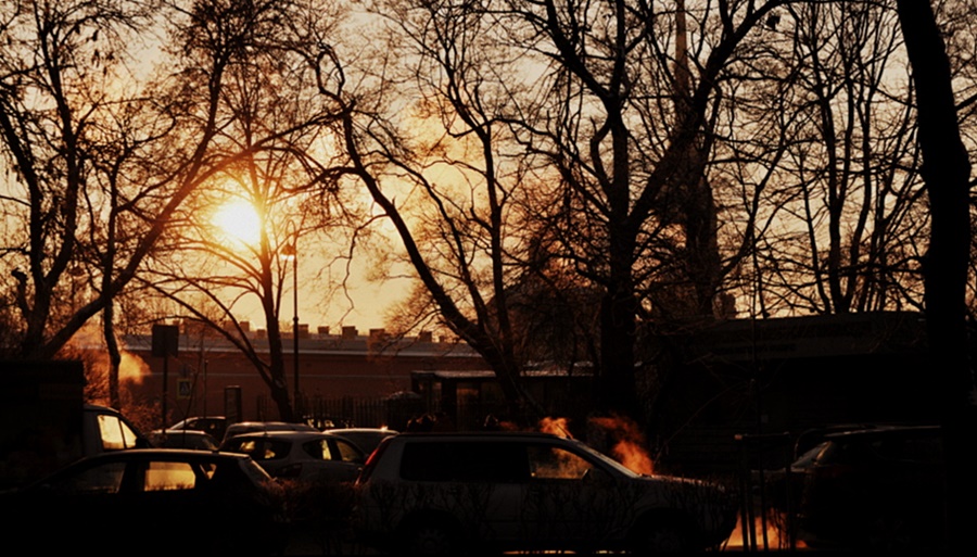 ���������� 6206-1