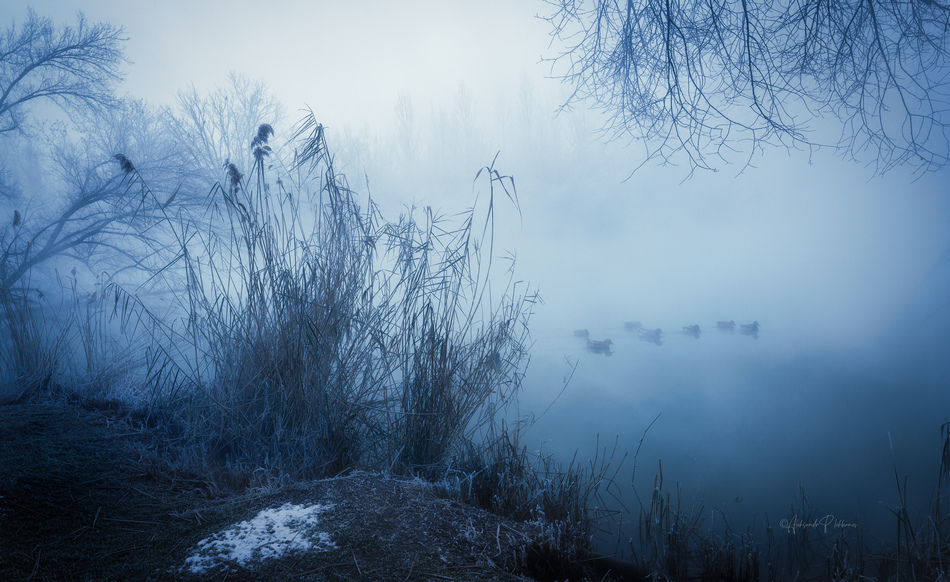 ���������� �����