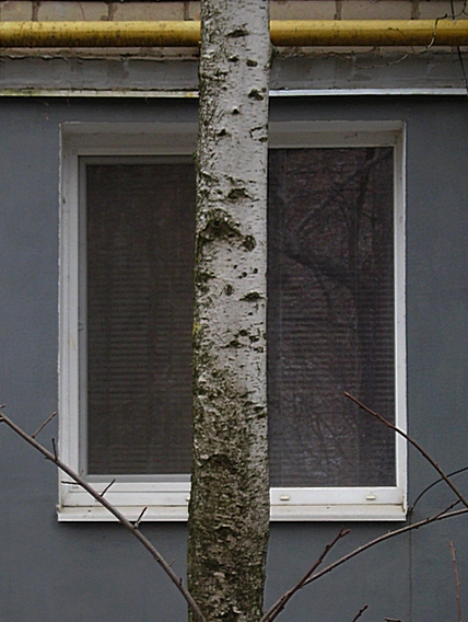 ���������� .