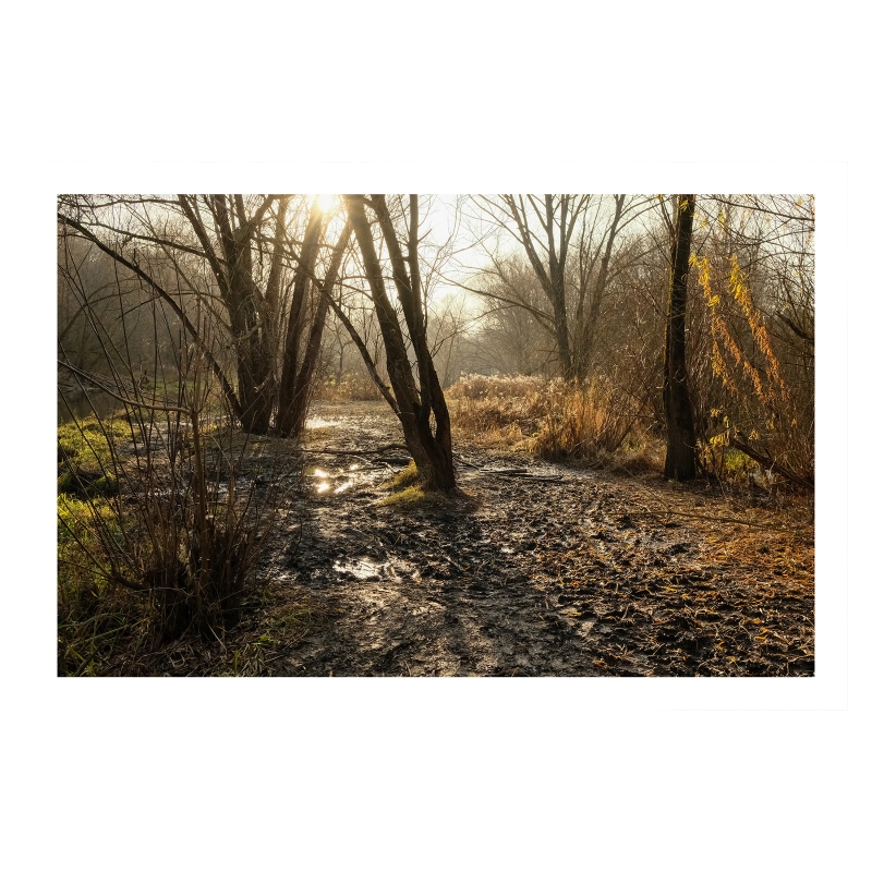 ���������� 155o