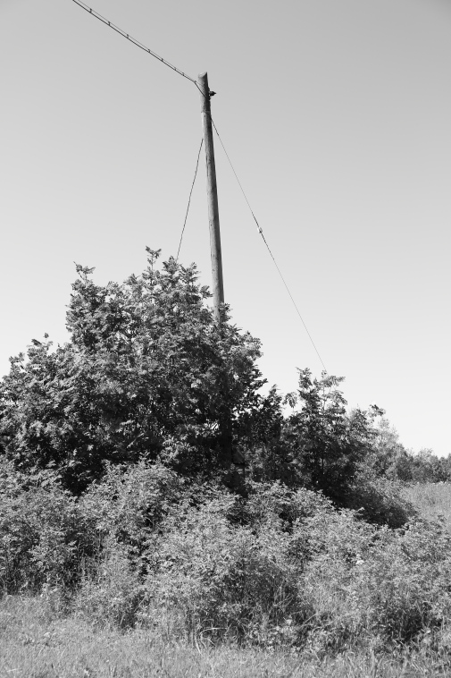 ���������� ����������