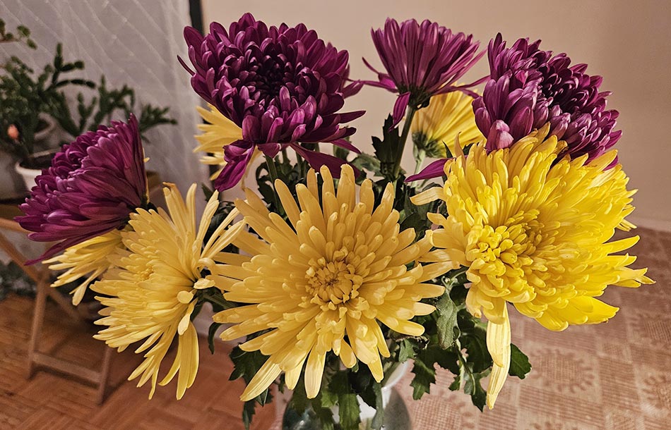 ���������� ������