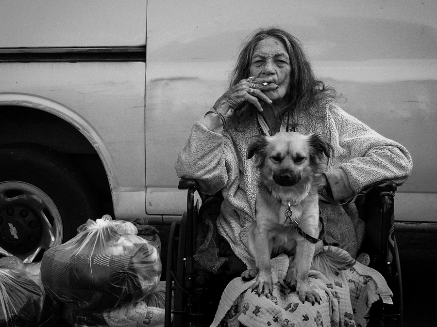 ���������� ��������