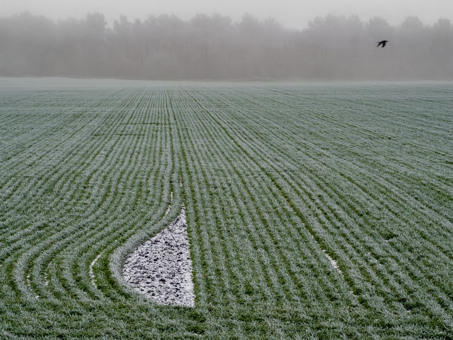 ���������� ***