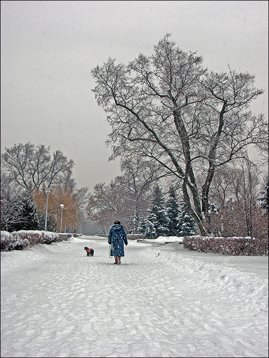 ���������� �������� ������, ��������...