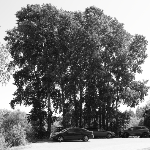 ���������� ����������