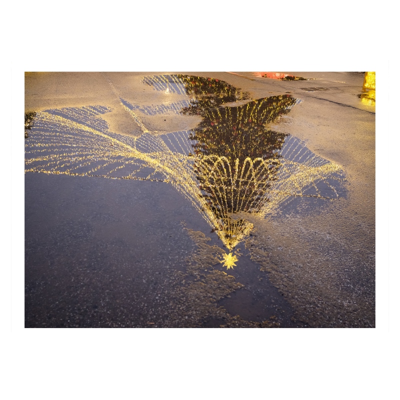 ���������� 1557