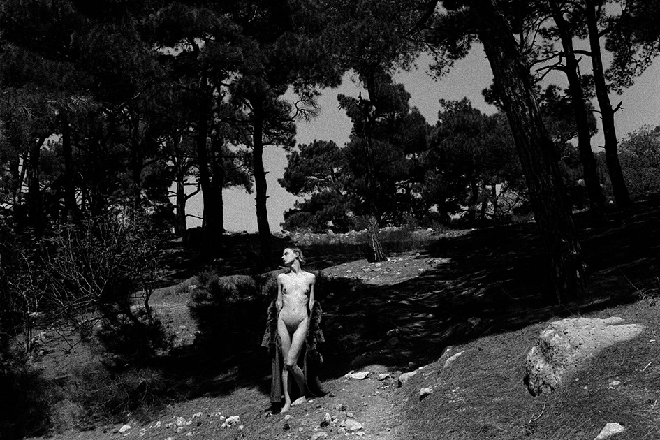 ���������� ***