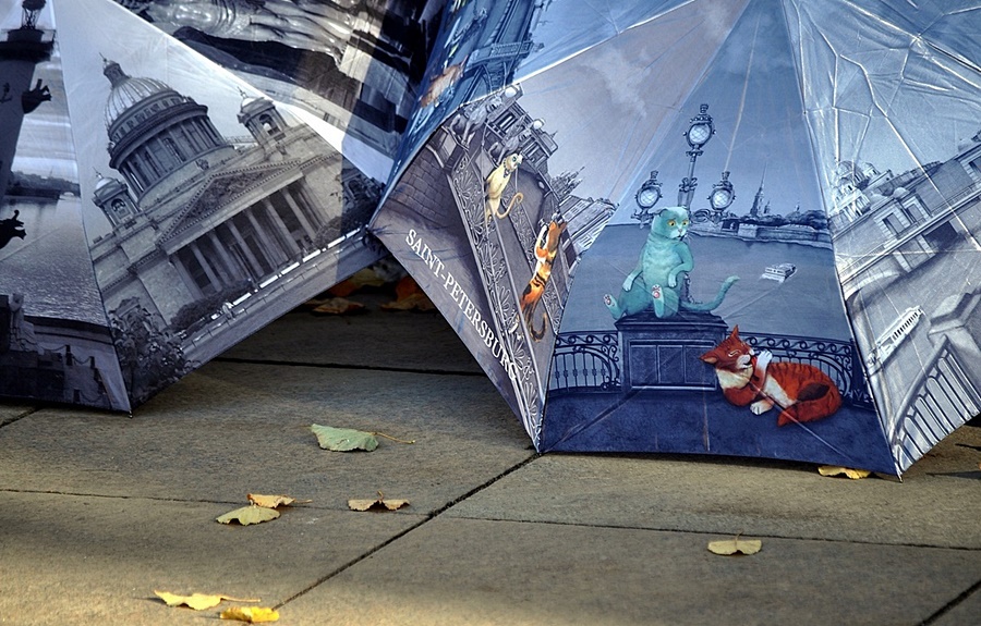 ���������� c31d7f42