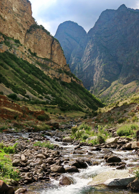 ���������� ***