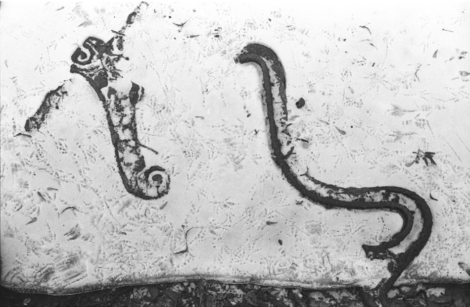 ���������� ***