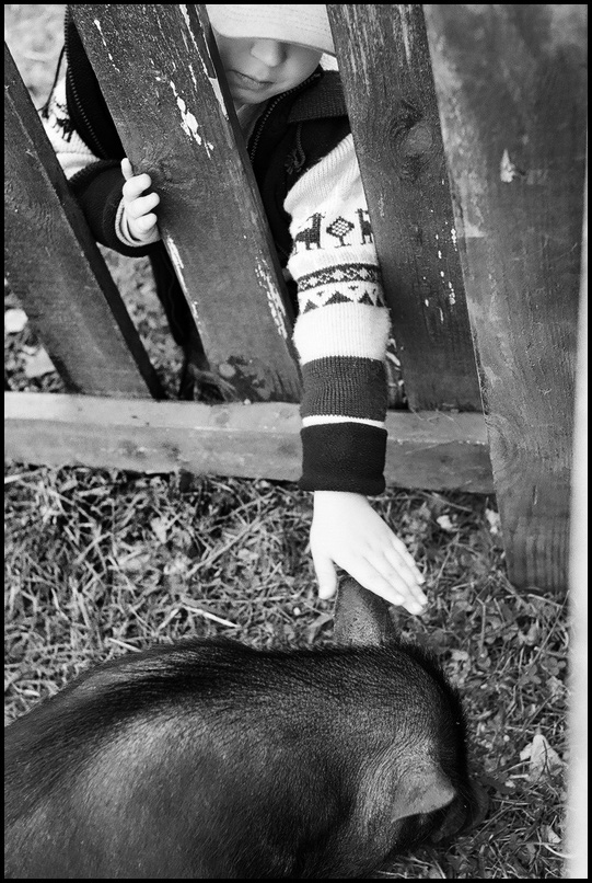 ���������� ���� ����������.