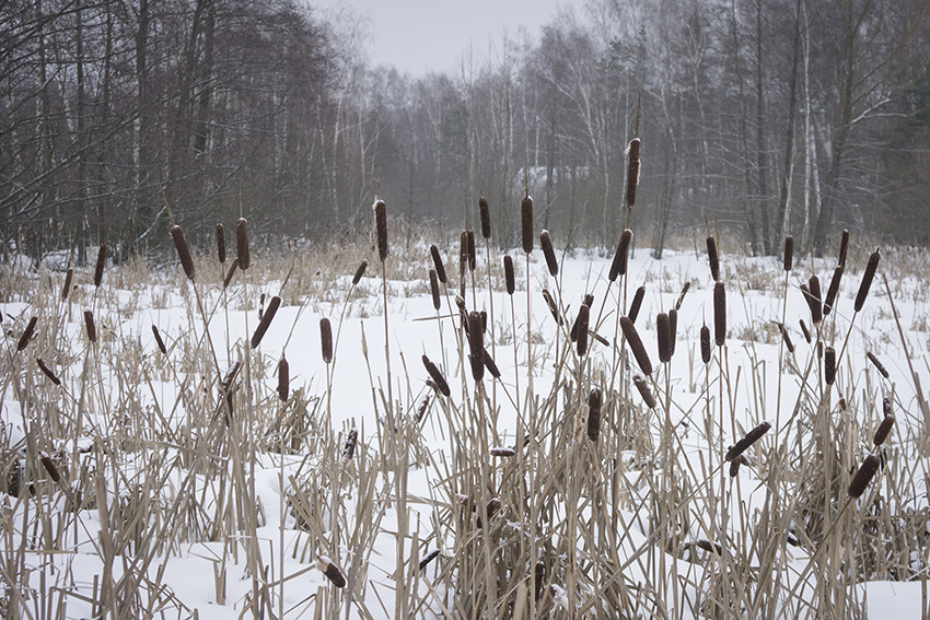 ���������� ***