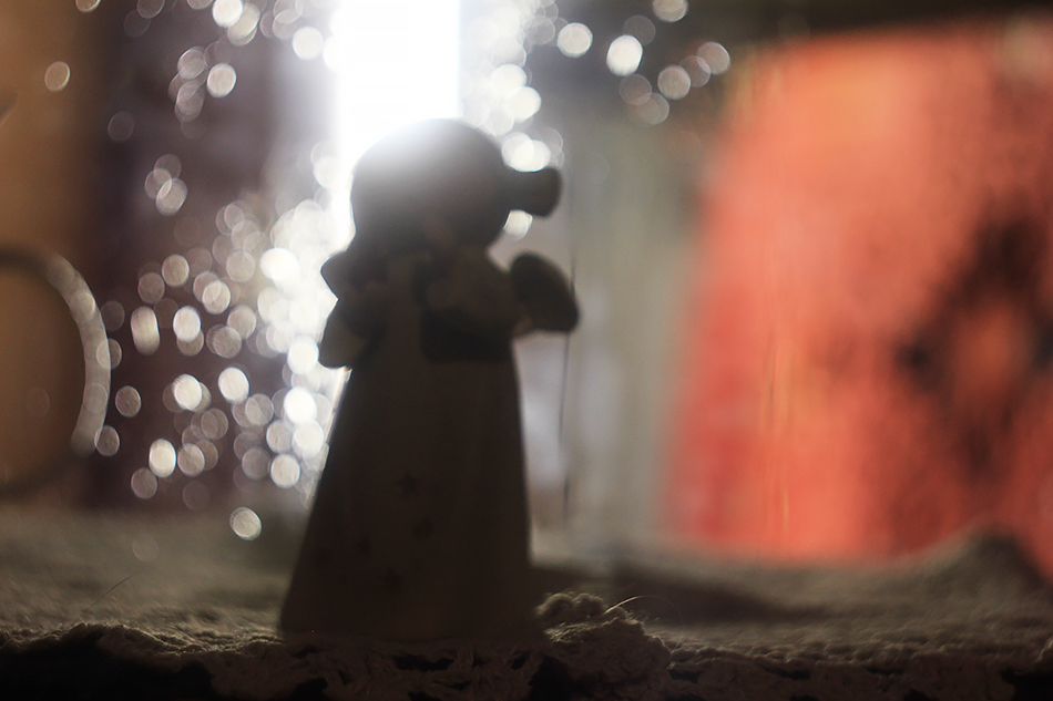 ���������� � ���������� ���� ����������