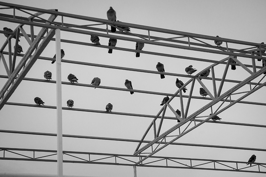 ���������� ***