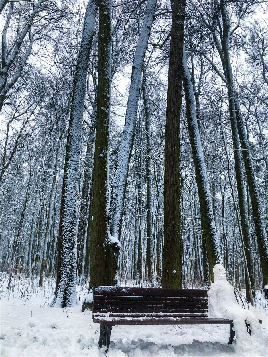 ���������� � �������� ������ ����