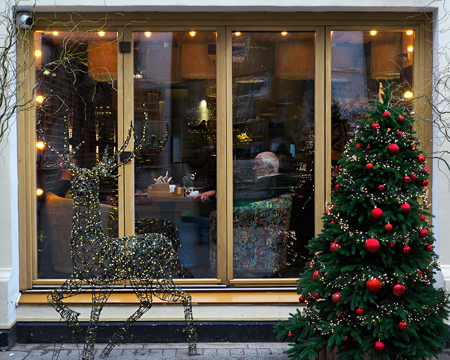 ���������� ���������� ����