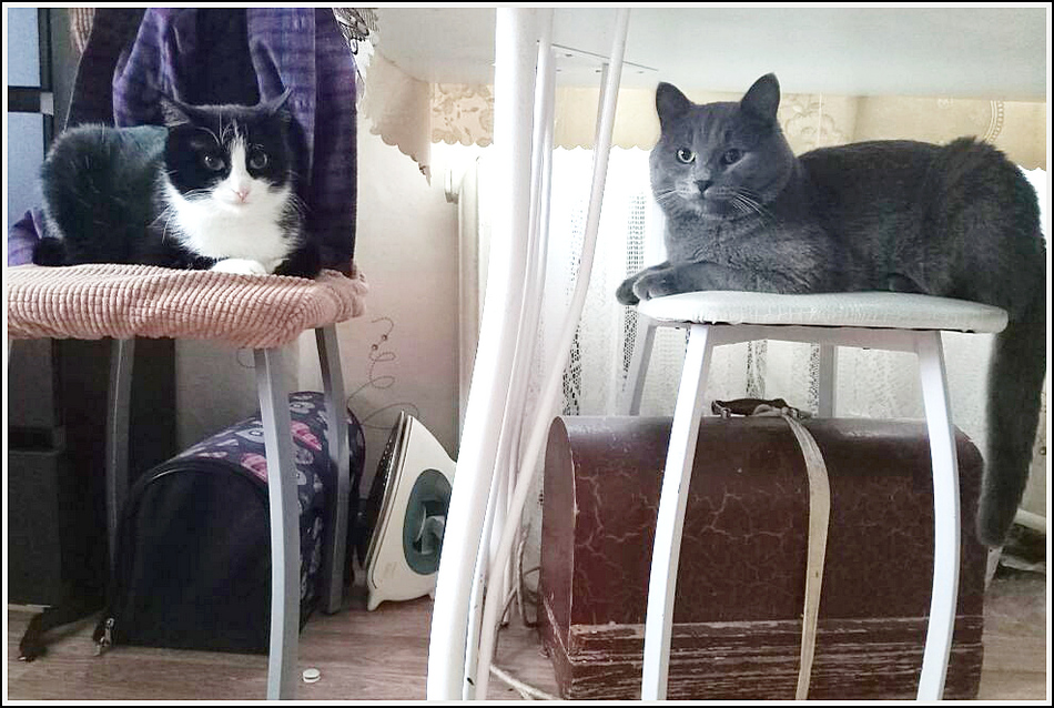 ���������� �����-����� ����� � ��������...