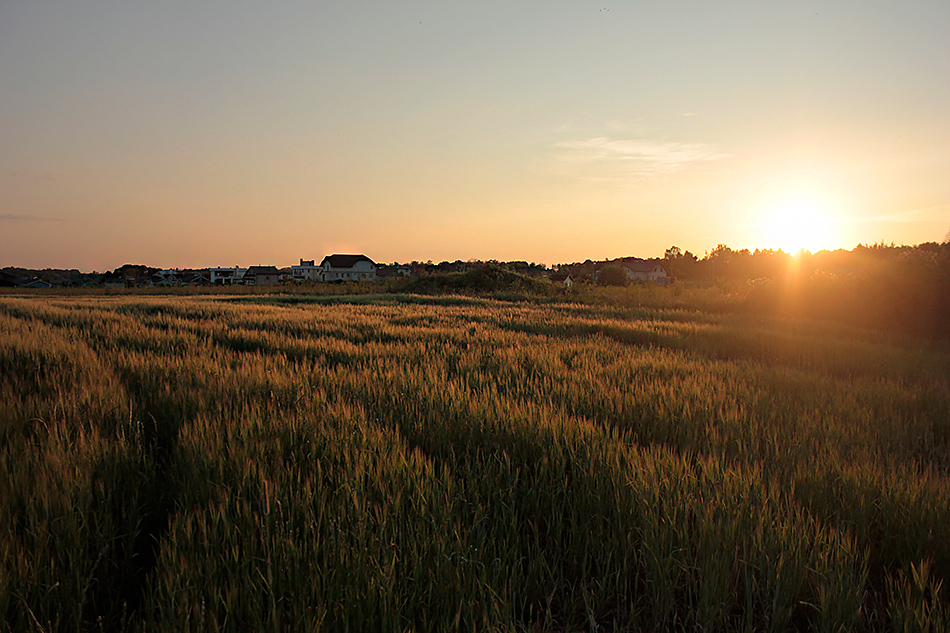 ���������� ����� �������� ����