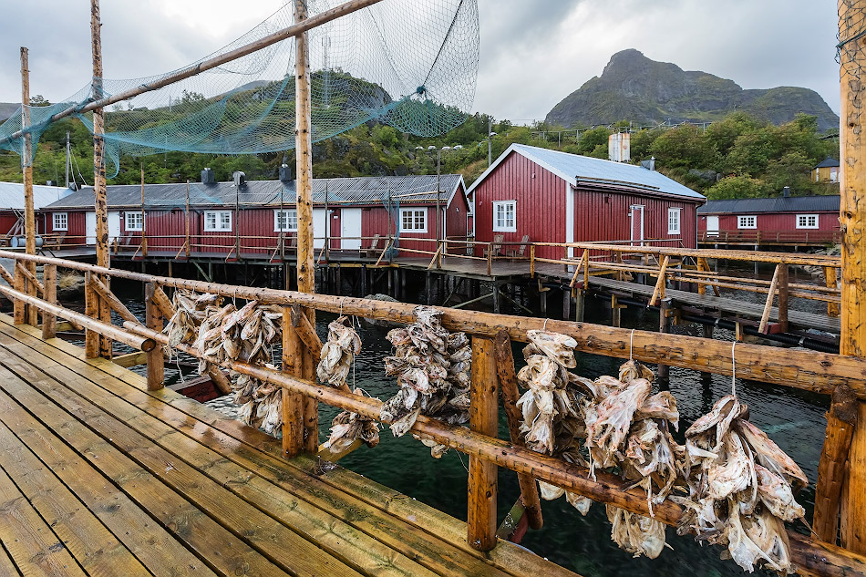 ���������� ***